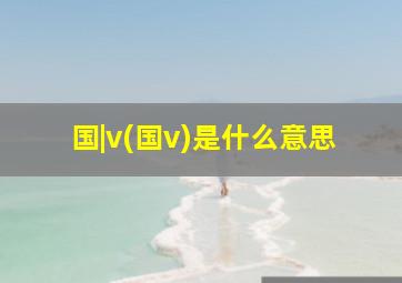 国|v(国v)是什么意思